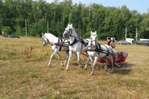Готовь сани летом тройка лошадей в санях